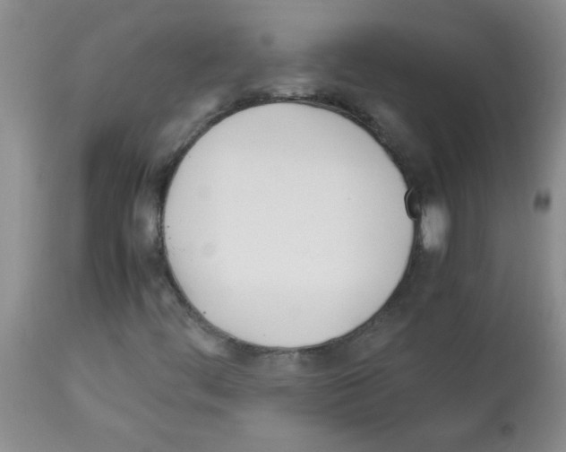 X0000113091444200910091245