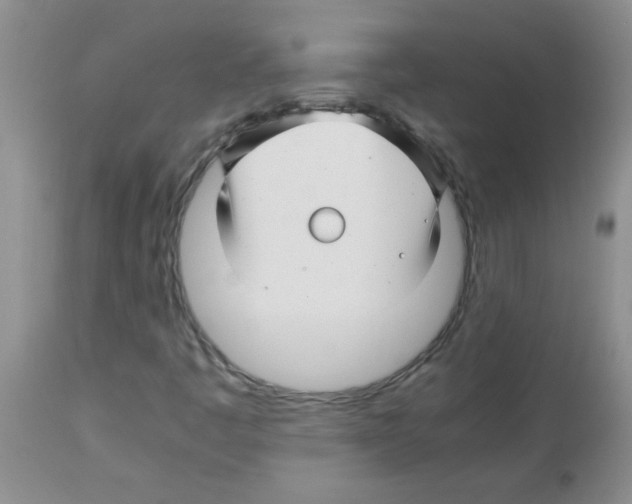 X0000113091445200910091245