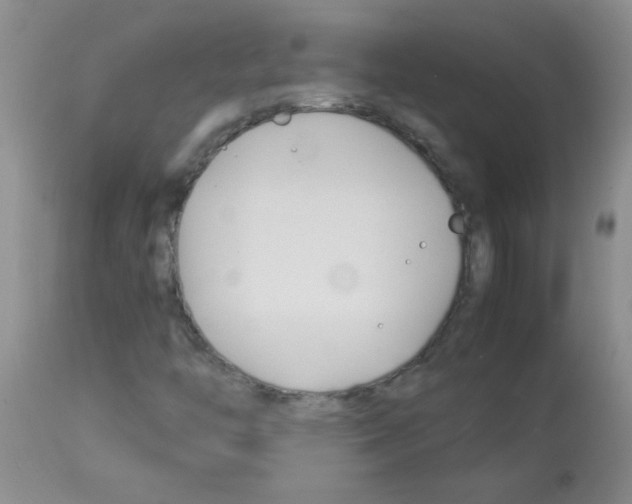 X0000113091446200910091245