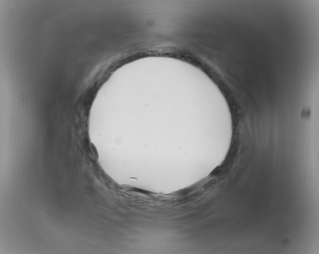 X0000113091447200910091245