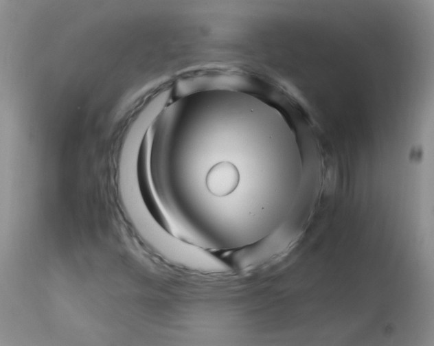 X0000113091448200910091245