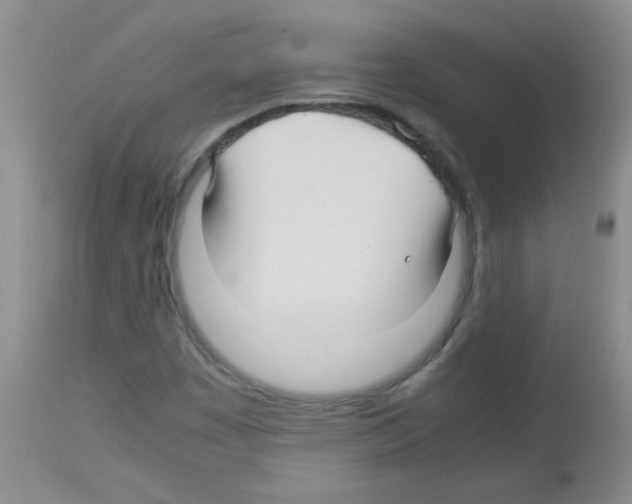 X0000113091449200910091245
