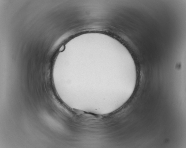 X0000113091450200910091245