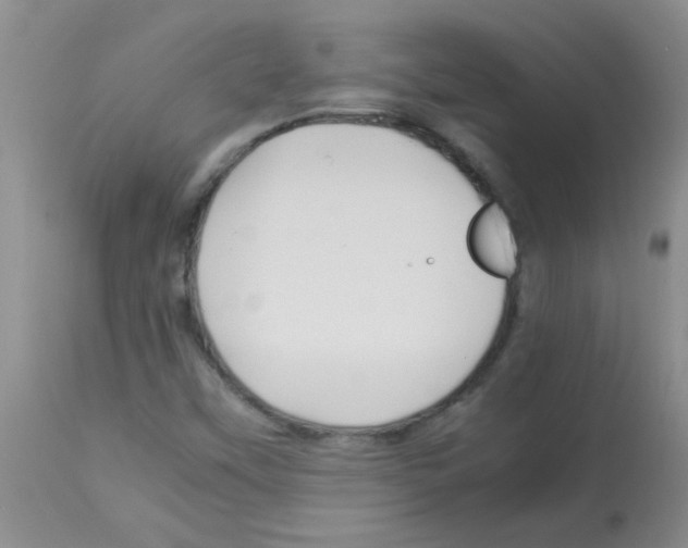 X0000113091451200910091245