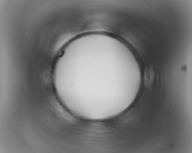 X0000113091452200910091245