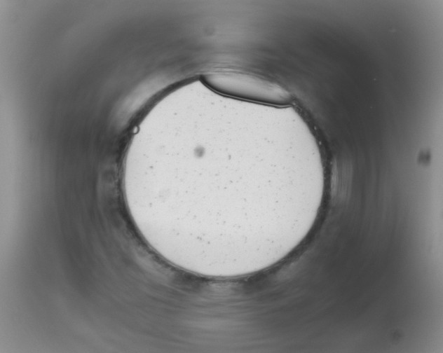 X0000113091453200910091245
