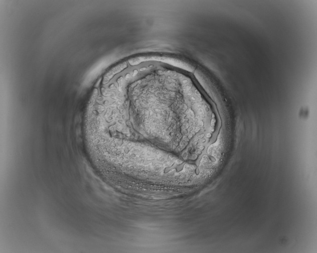X0000113091455200910091245