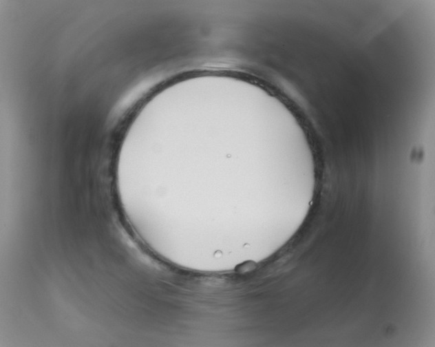 X0000113091456200910091245