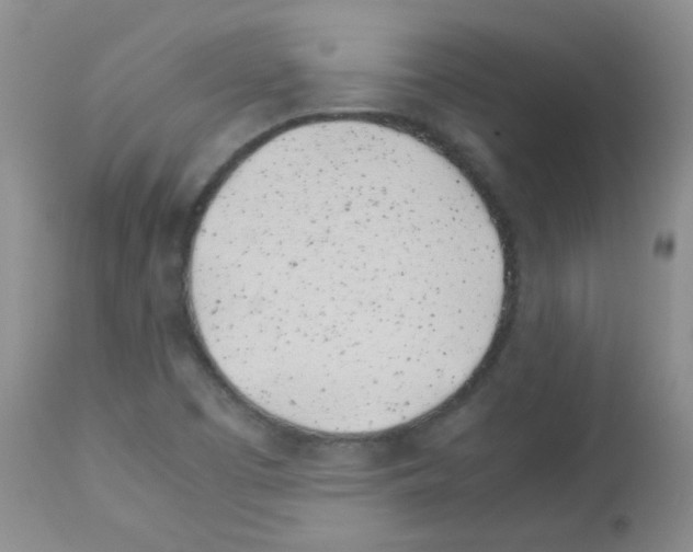 X0000113091457200910091245