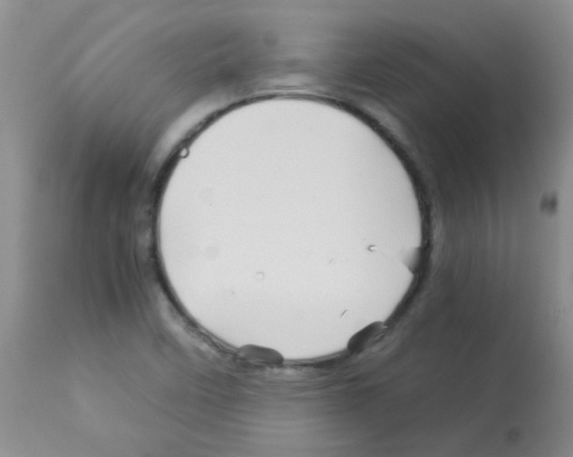 X0000113091458200910091245