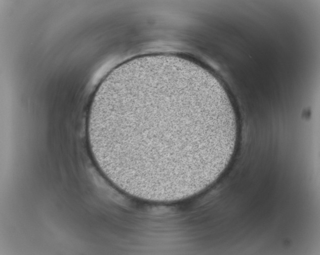 X0000113091459200910091245