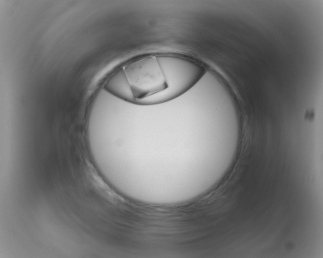 X0000113091460200910091245