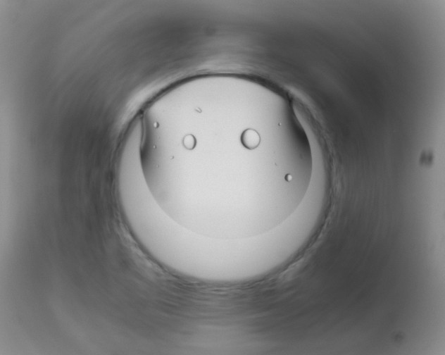 X0000113091461200910091245