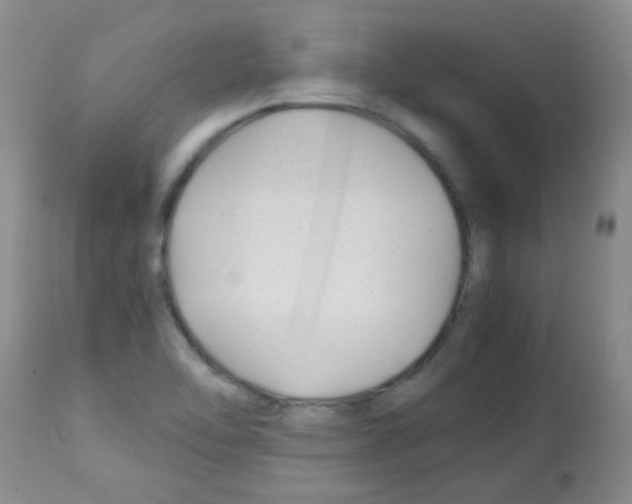 X0000113091462200910091245
