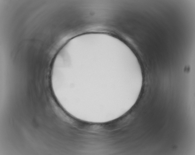X0000113091463200910091245