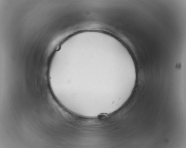 X0000113091464200910091245
