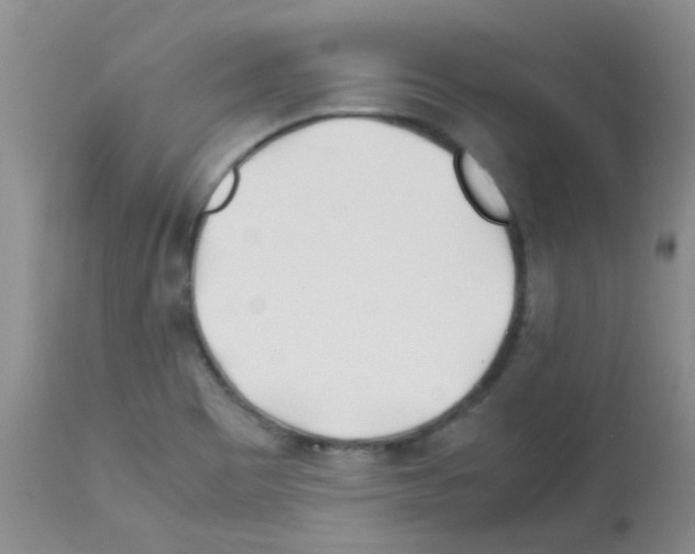X0000113091465200910091245
