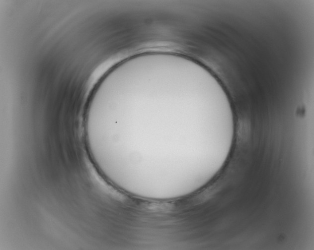 X0000113091466200910091245