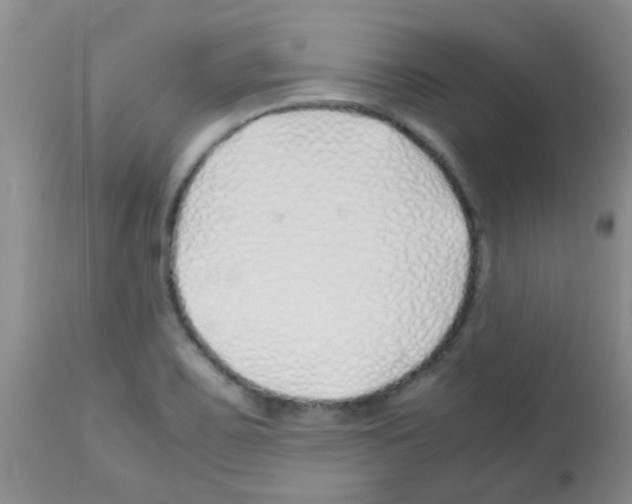 X0000113091467200910091245