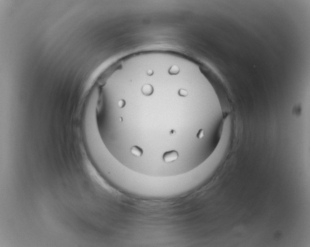X0000113091468200910091245