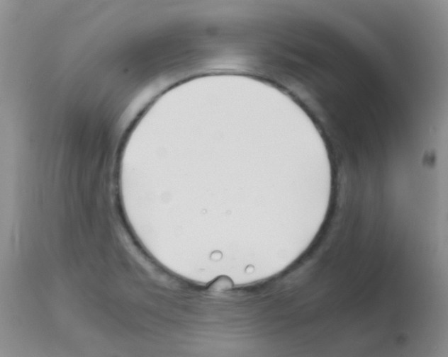 X0000113091469200910091245