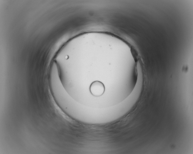 X0000113091472200910091245
