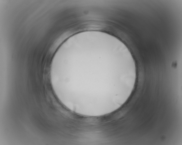 X0000113091473200910091245