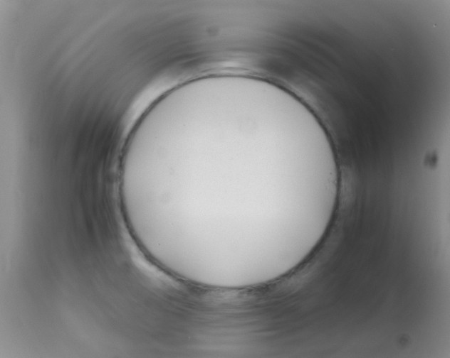 X0000113091474200910091245