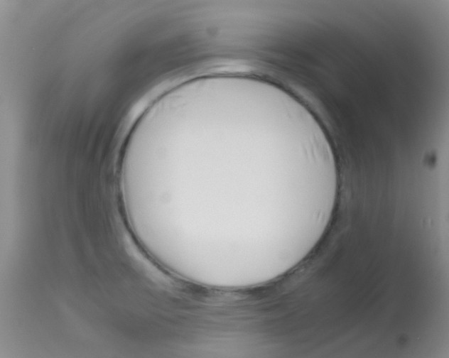 X0000113091475200910091245