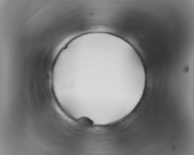 X0000113091476200910091245