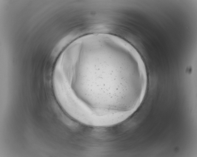 X0000113091477200910091245