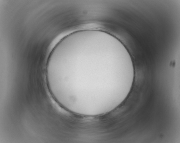 X0000113091478200910091245