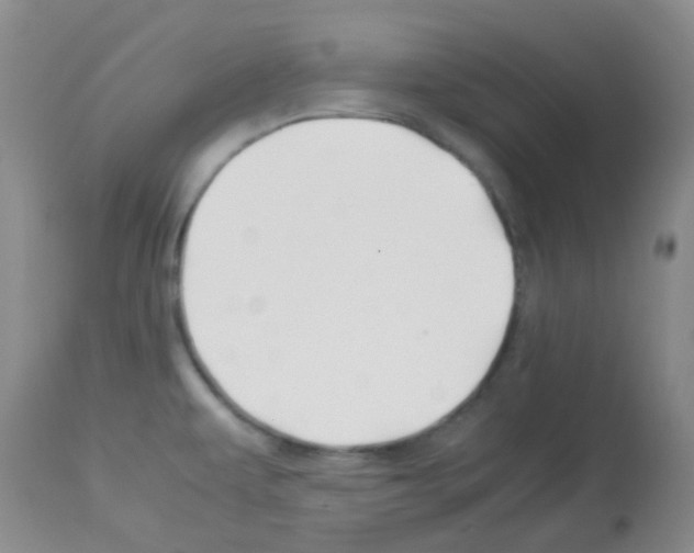 X0000113091479200910091245