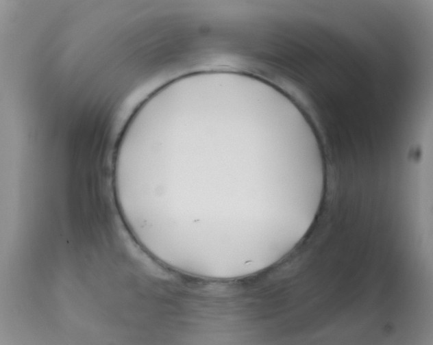 X0000113091480200910091245