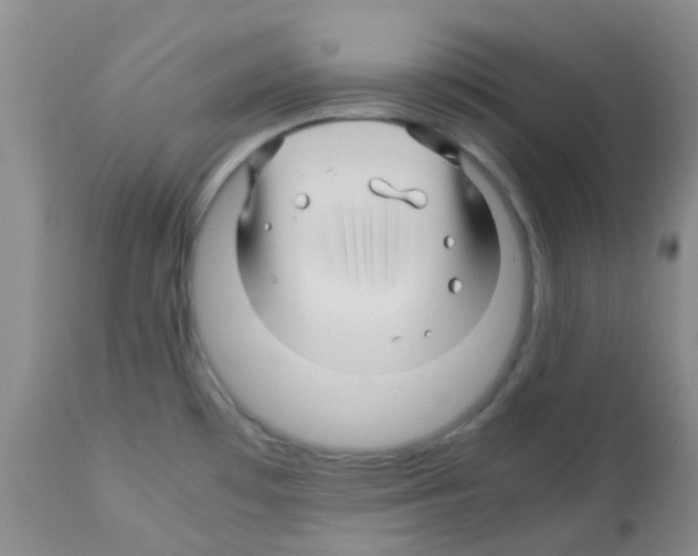 X0000113091481200910091245
