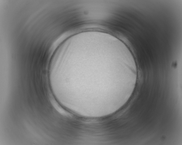 X0000113091482200910091245