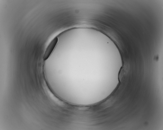 X0000113091484200910091244