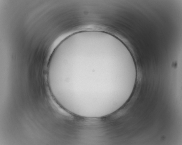 X0000113091486200910091244