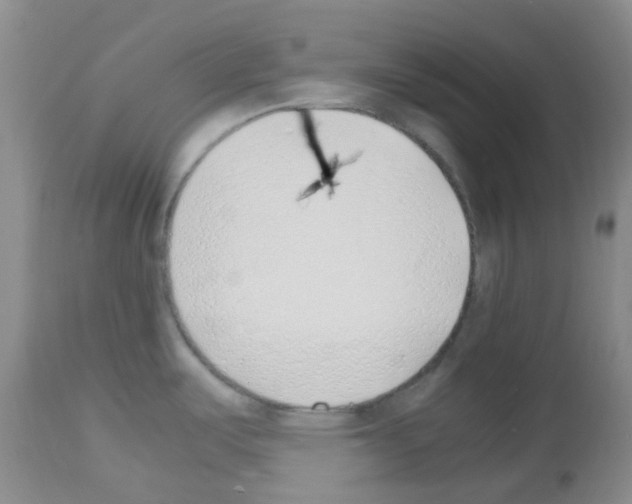 X0000113091487200910091244