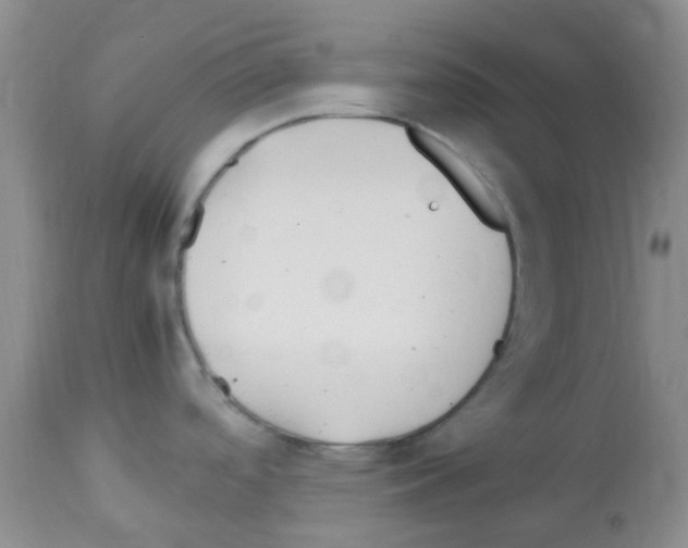 X0000113091488200910091244