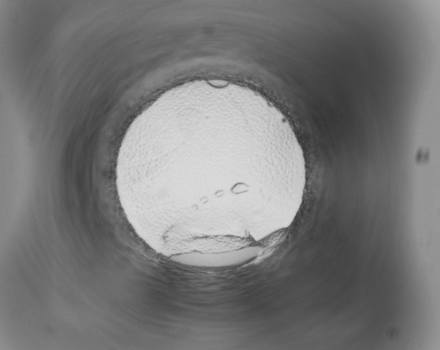 X0000113091489200910091244