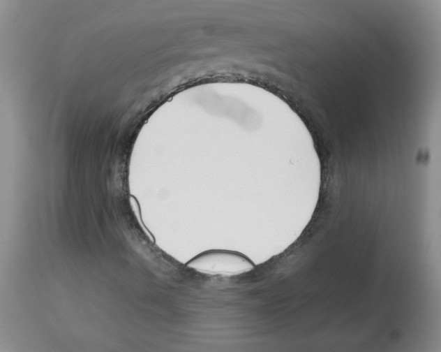 X0000113091490200910091244