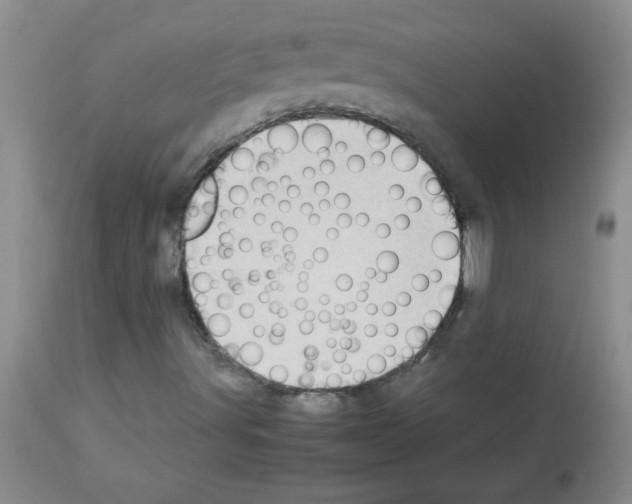 X0000113091491200910091244