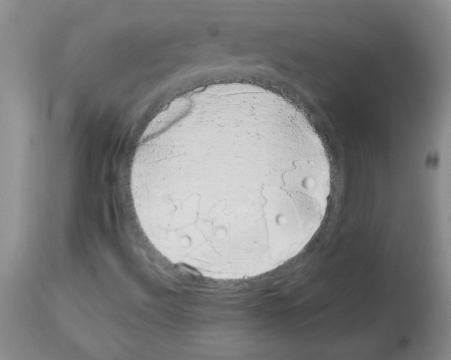 X0000113091492200910091244