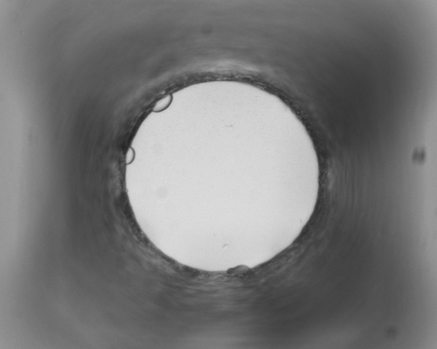 X0000113091493200910091244