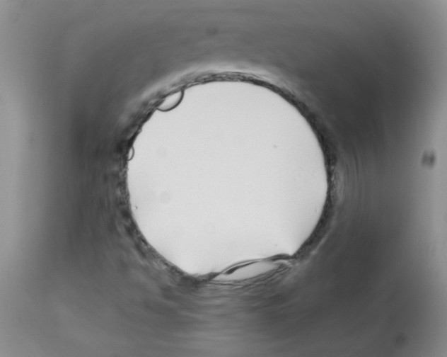 X0000113091494200910091244