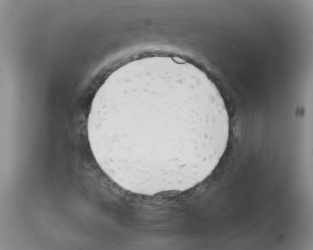 X0000113091495200910091244