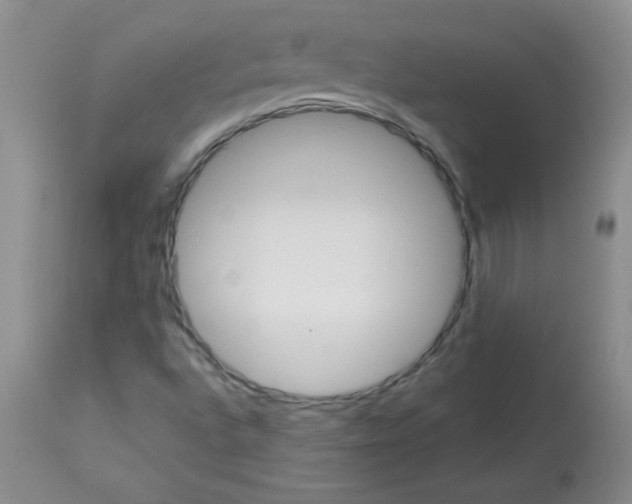 X0000113091496200910091244