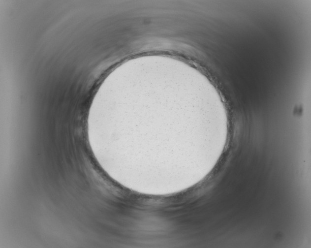X0000113091497200910091244