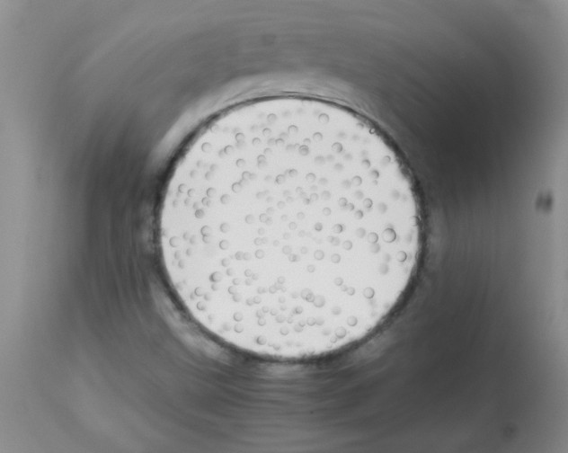 X0000113091499200910091244